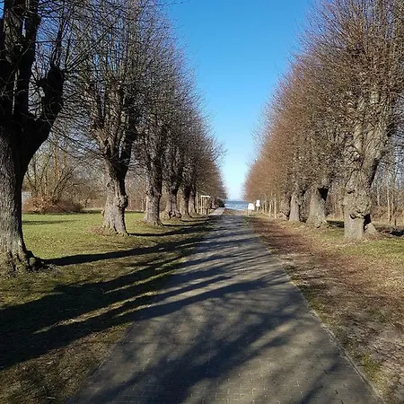 Seesternchen * Groß Schwansee