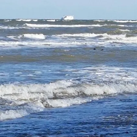 Seesternchen * Groß Schwansee