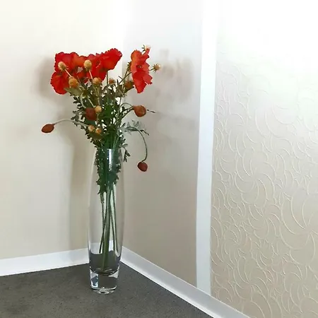 Seesternchen Apartment