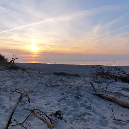 Apartment Seesternchen Gross Schwansee