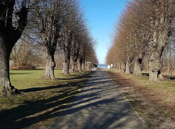 Seesternchen * Groß Schwansee