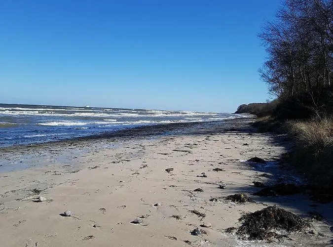 Seesternchen Appartement *