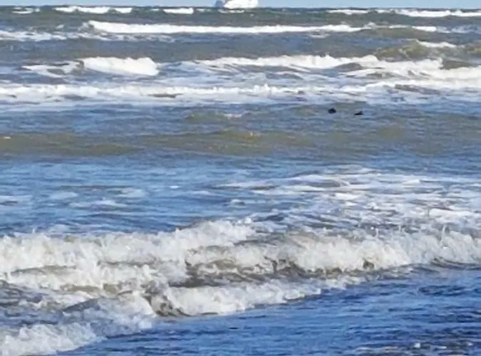 Seesternchen * Groß Schwansee